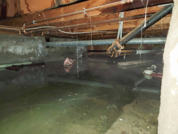 Water damage restoration process in Spartanburg, SC