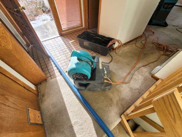 Best Water damage contractors near me  in Spartanburg, SC