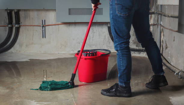Best Flood restoration services  in Spartanburg, SC