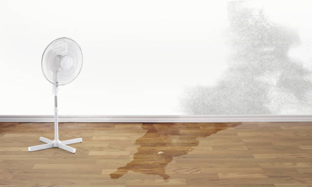 Spartanburg, SC Water damage restoration Company