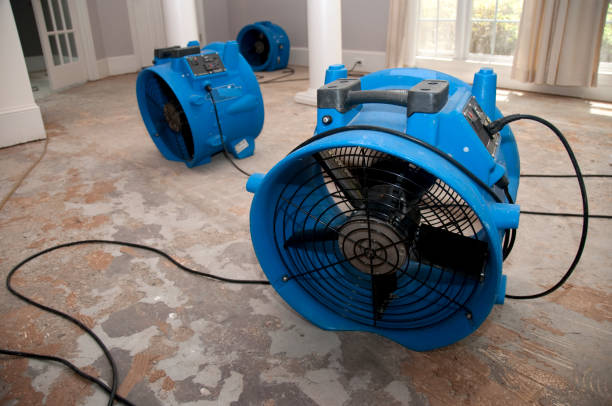 Best Water damage mitigation services  in Spartanburg, SC