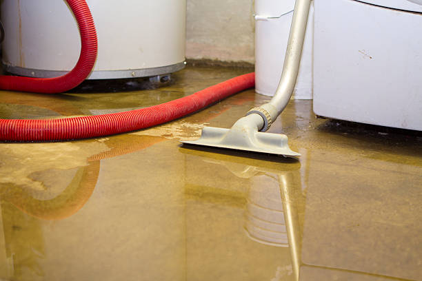 Best Carpet water damage restoration  in Spartanburg, SC