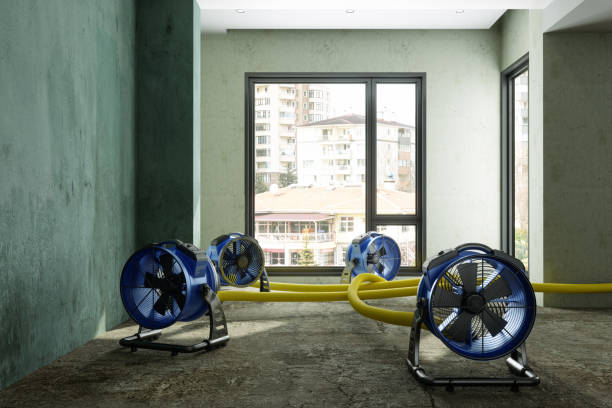 Best Residential water damage restoration  in Spartanburg, SC